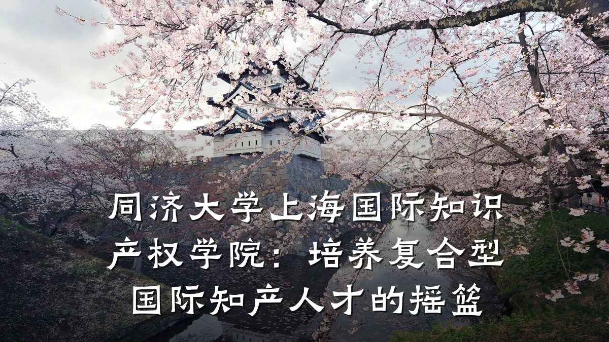 同济大学上海国际知识产权学院：培养复合型国际知产人才的摇篮