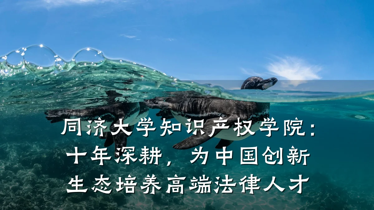 同济大学知识产权学院:十年深耕,为中国创新生态培养高端法律人才