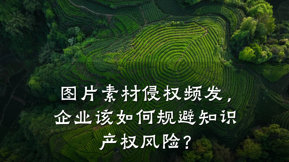 图片素材侵权频发，企业该如何规避知识产权风险？