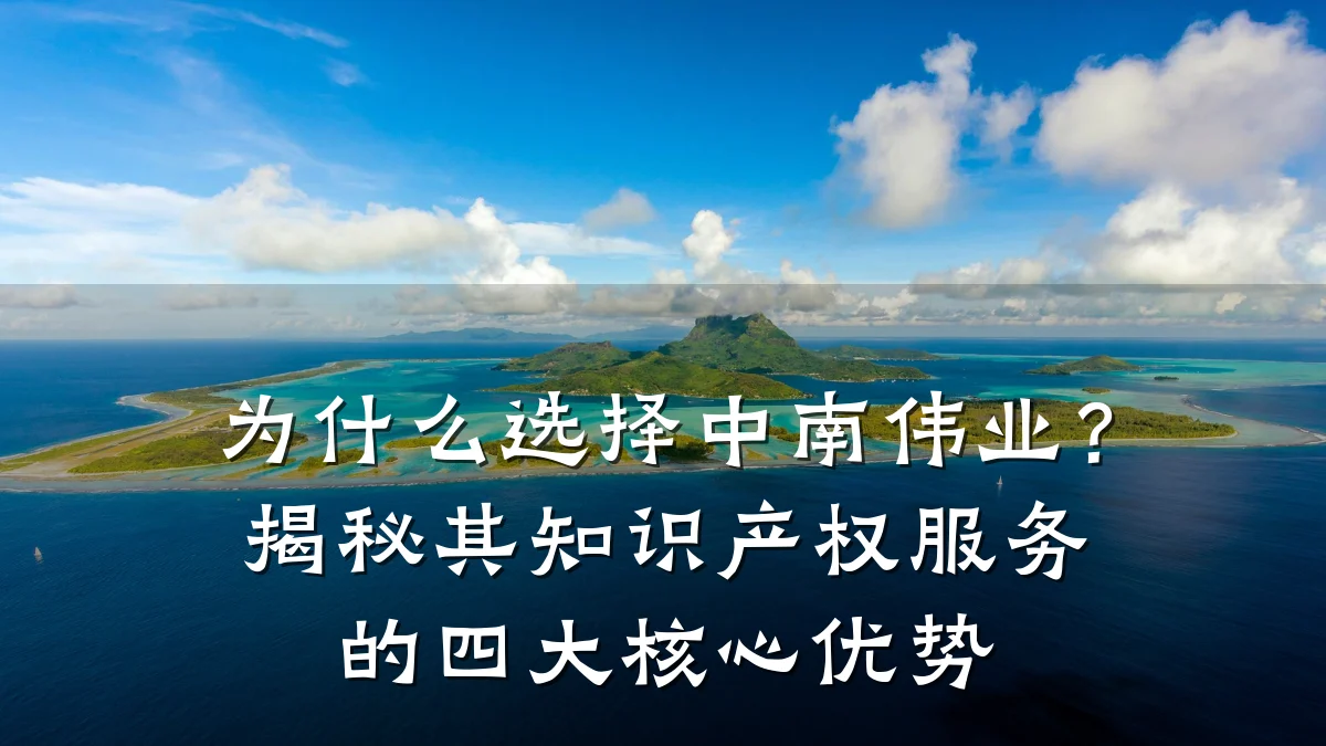 为什么选择中南伟业？揭秘其知识产权服务的四大核心优势