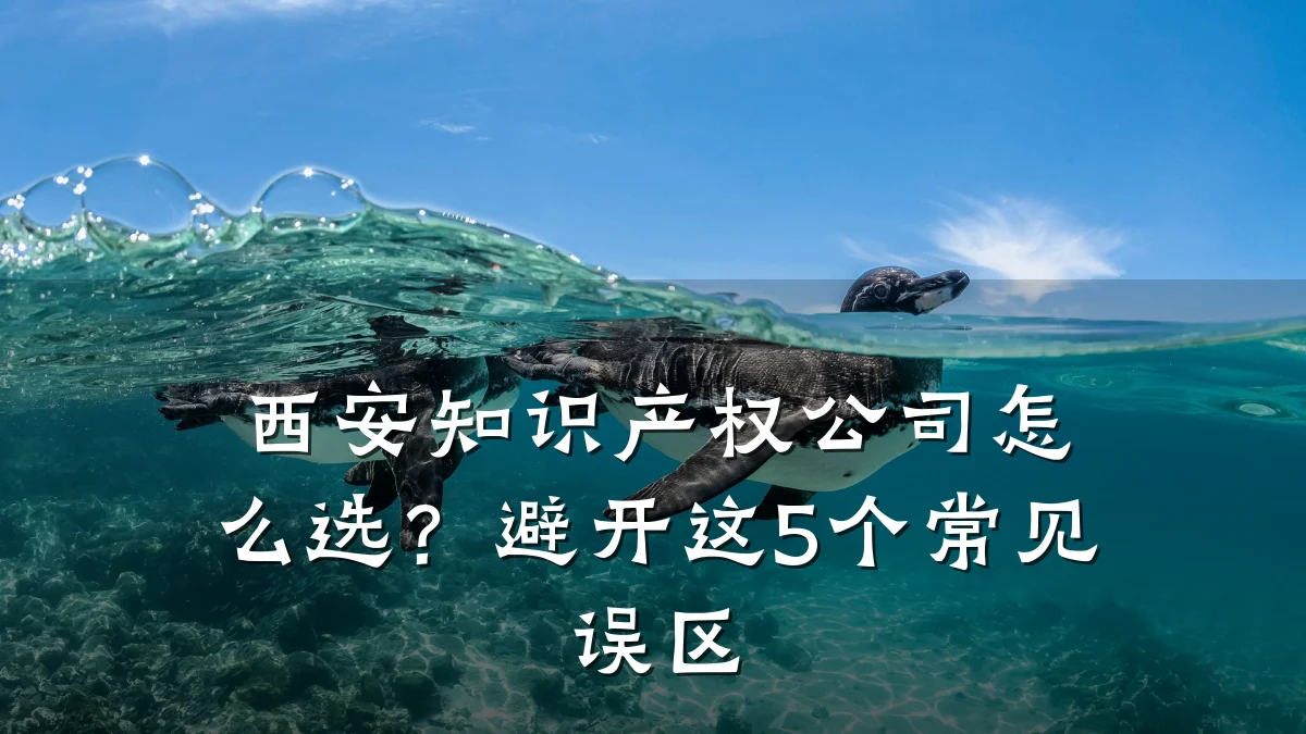 西安知识产权公司怎么选?避开这5个常见误区