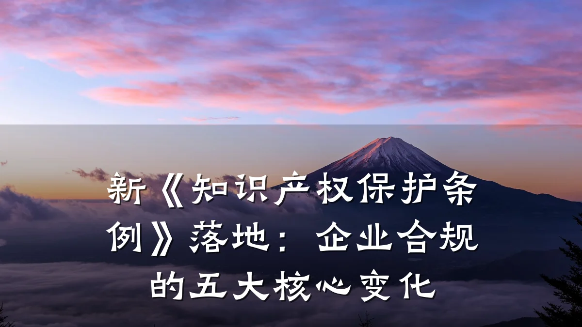 新《知识产权保护条例》落地:企业合规的五大核心变化