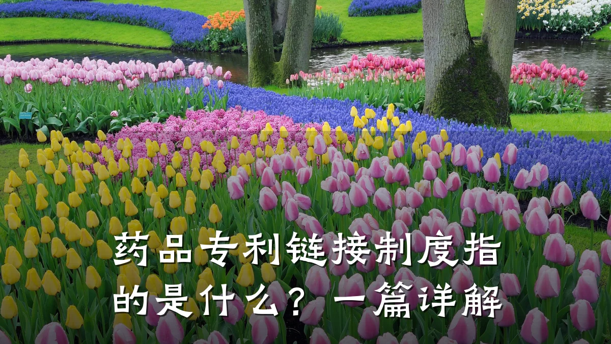 药品专利链接制度指的是什么？一篇详解