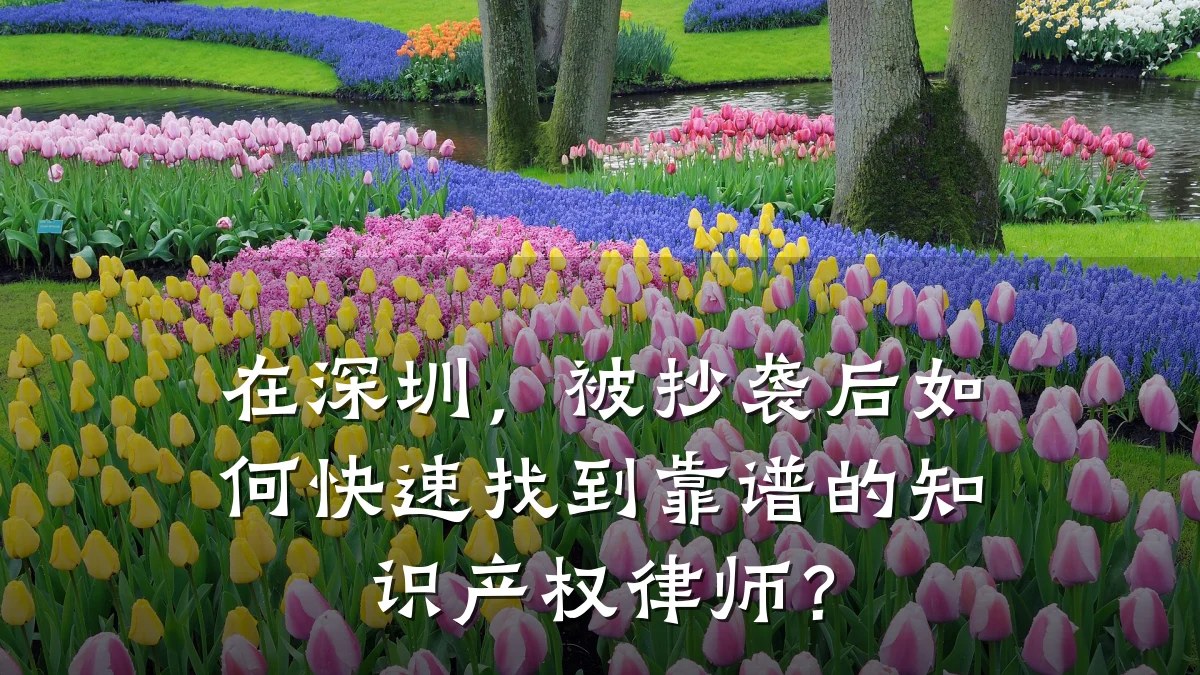 在深圳,被抄袭后如何快速找到靠谱的知识产权律师?