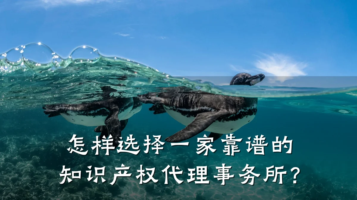 怎样选择一家靠谱的知识产权代理事务所？