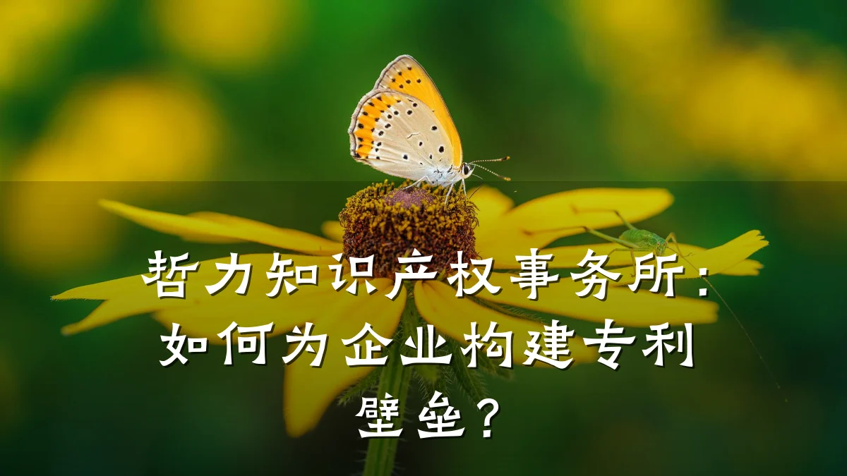 哲力知识产权事务所:如何为企业构建专利壁垒?