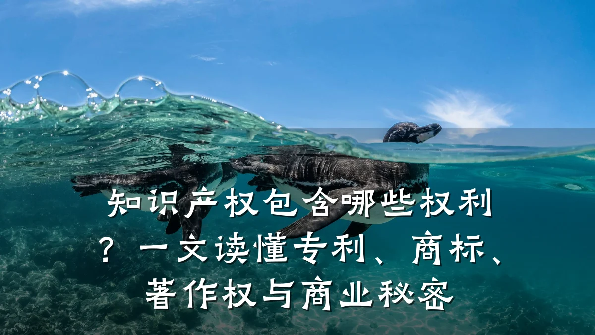 知识产权包含哪些权利?一文读懂专利、商标、著作权与商业秘密