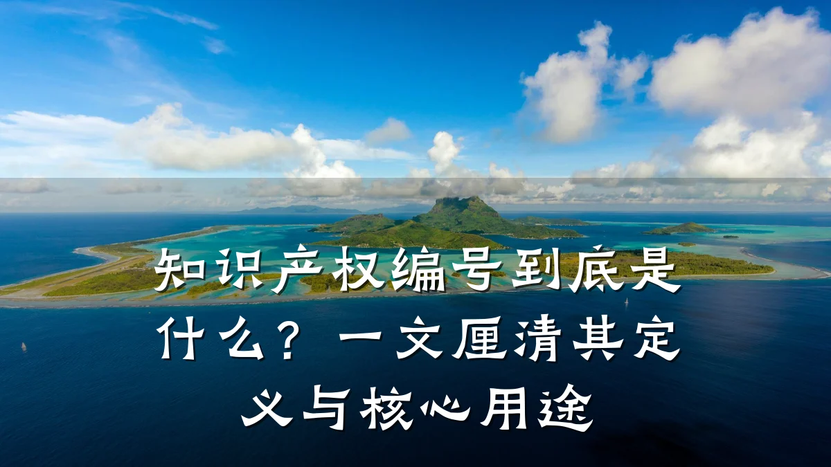 知识产权编号到底是什么？一文厘清其定义与核心用途
