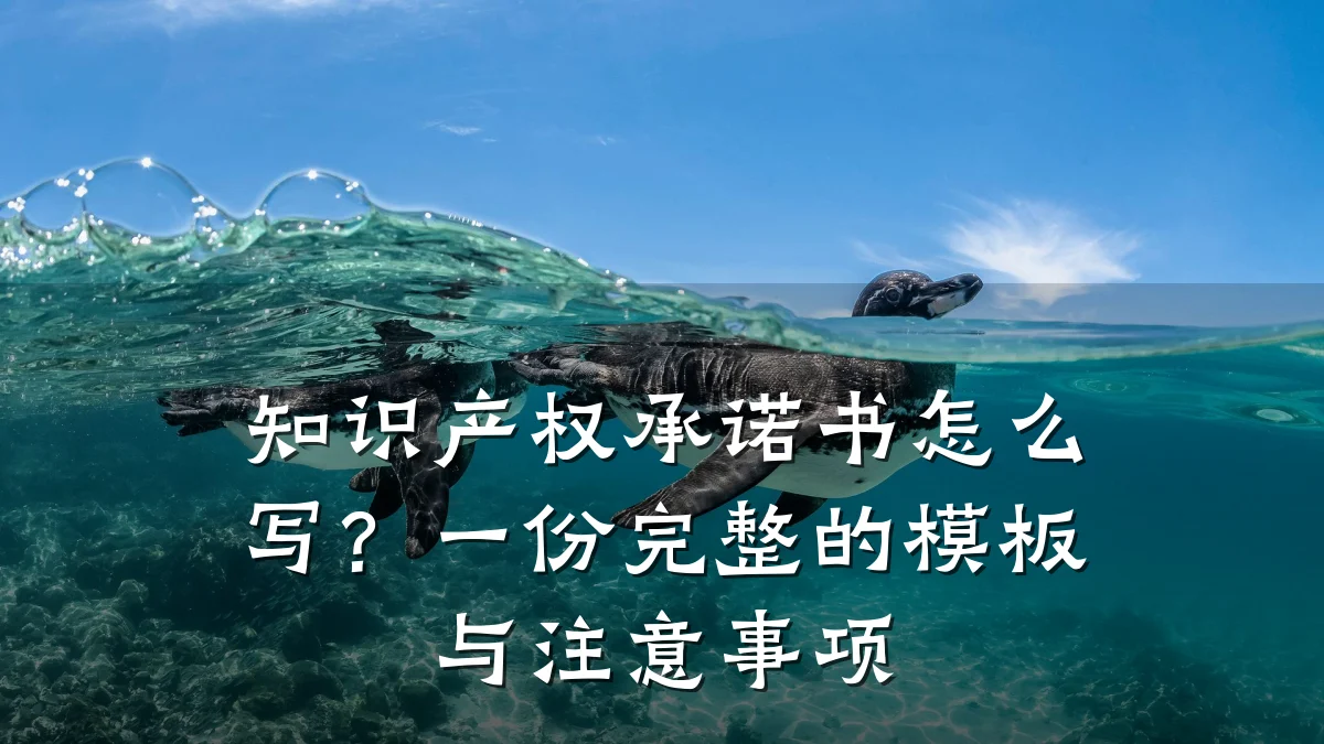 知识产权承诺书怎么写？一份完整的模板与注意事项