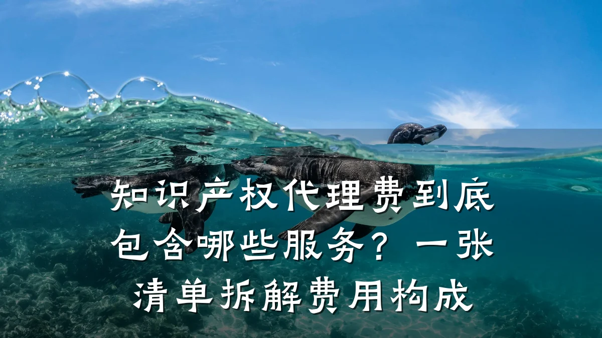 知识产权代理费到底包含哪些服务?一张清单拆解费用构成