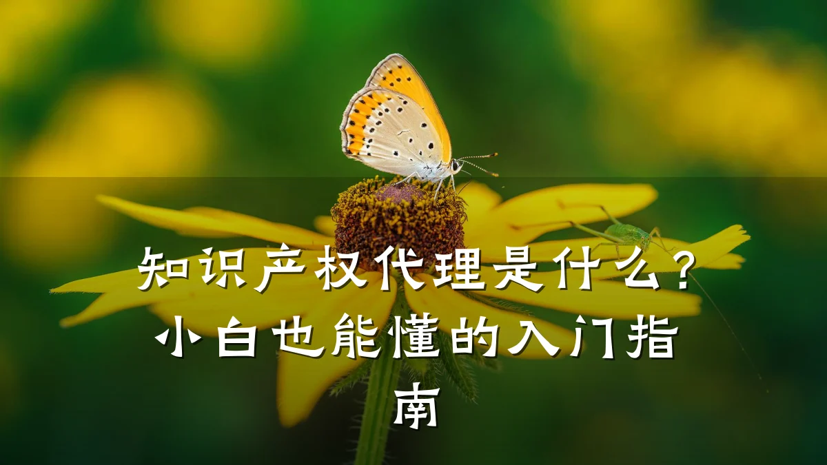 知识产权代理是什么？小白也能懂的入门指南