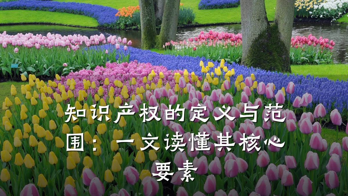 知识产权的定义与范围：一文读懂其核心要素