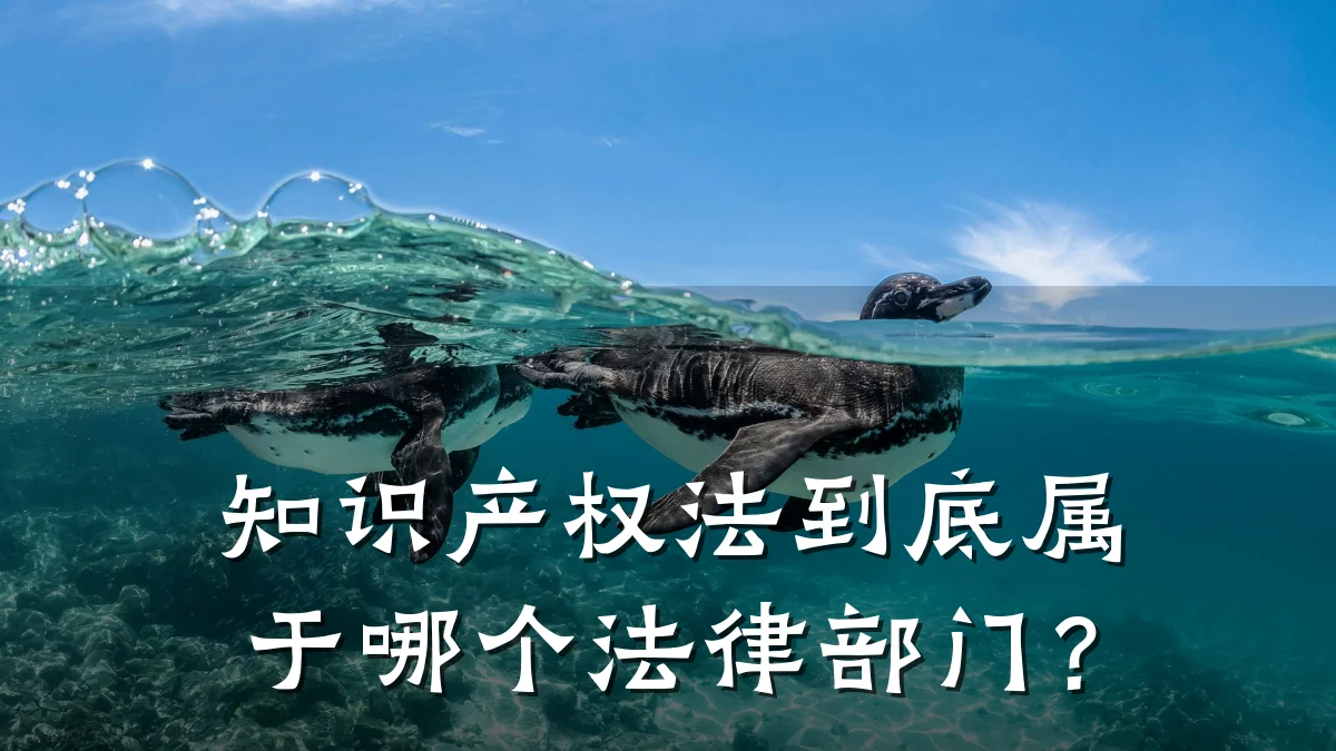 知识产权法到底属于哪个法律部门？