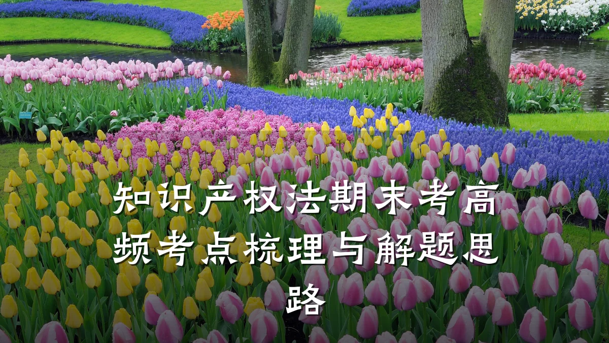 知识产权法期末考高频考点梳理与解题思路