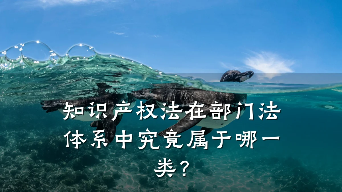 知识产权法在部门法体系中究竟属于哪一类？