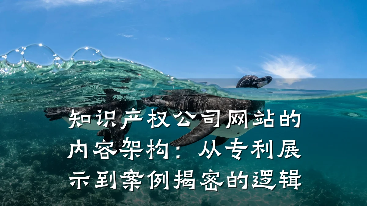 知识产权公司网站的内容架构:从专利展示到案例揭密的逻辑
