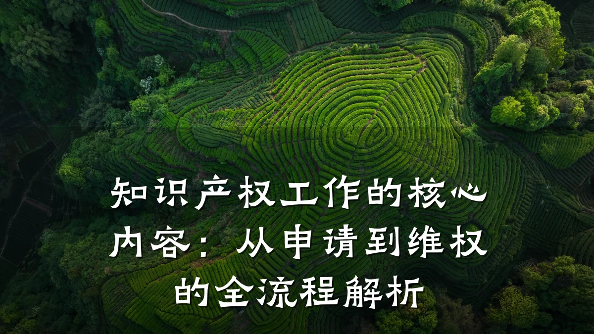 知识产权工作的核心内容：从申请到维权的全流程解析