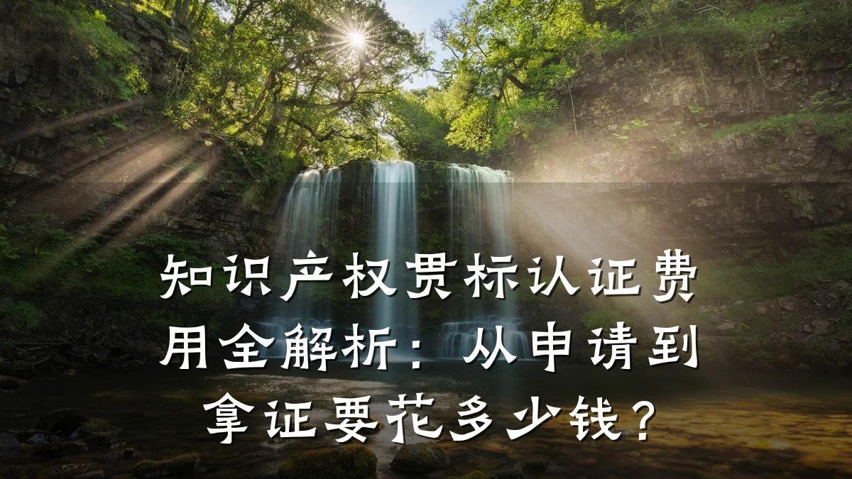 知识产权贯标认证费用全解析：从申请到拿证要花多少钱？