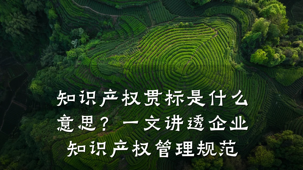 知识产权贯标是什么意思？一文讲透企业知识产权管理规范