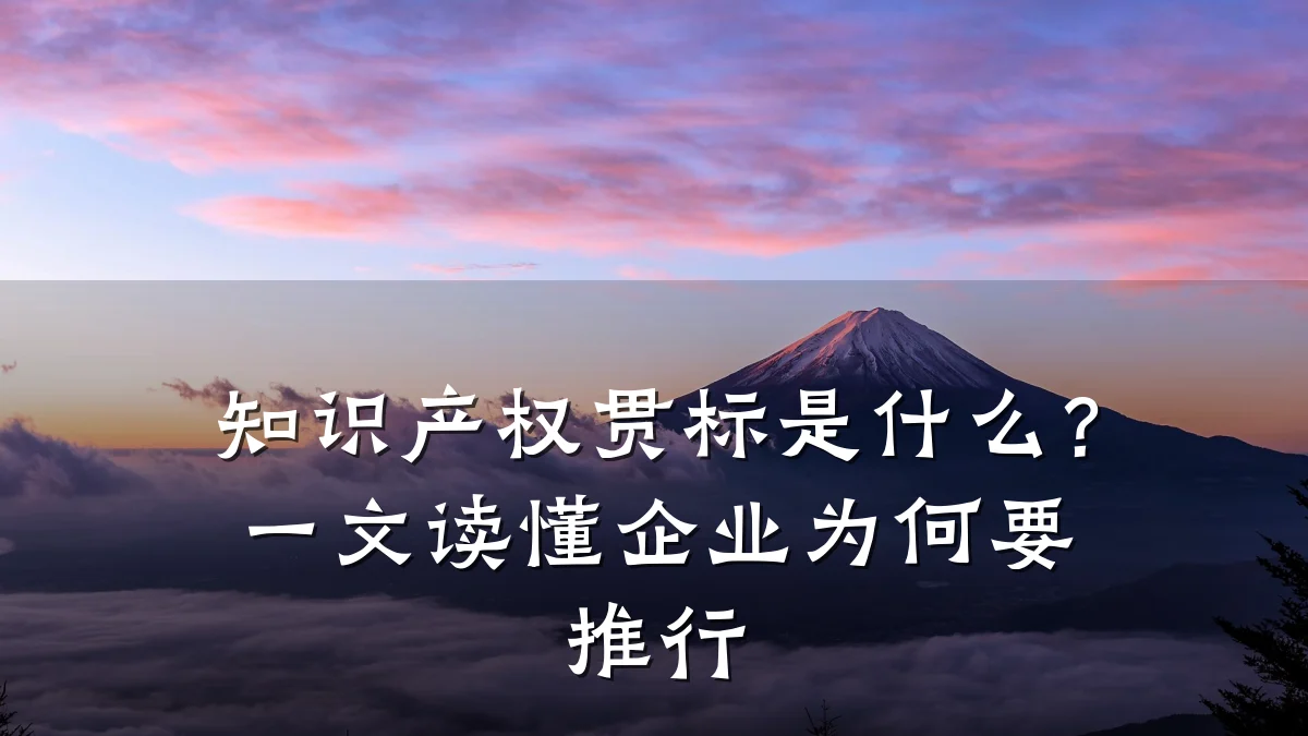 知识产权贯标是什么？一文读懂企业为何要推行