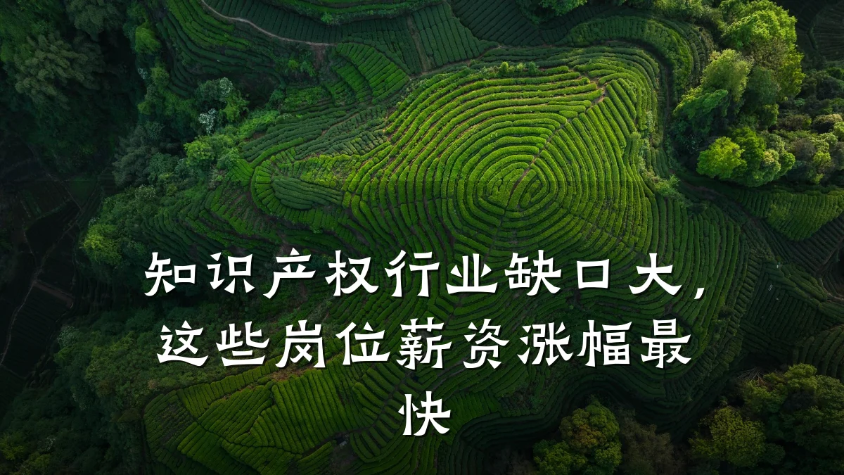 知识产权行业缺口大，这些岗位薪资涨幅最快