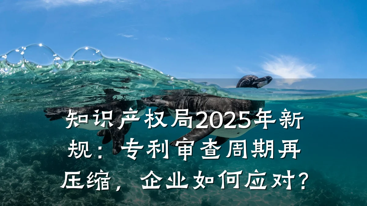 知识产权局2025年新规：专利审查周期再压缩，企业如何应对？