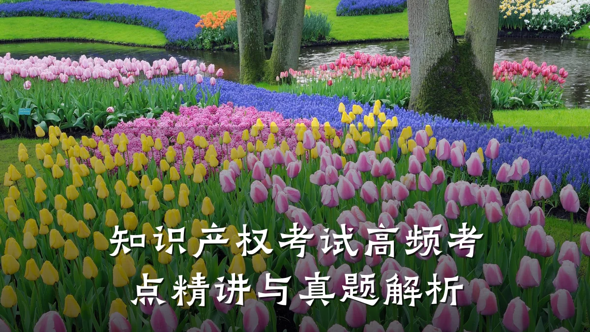 知识产权考试高频考点精讲与真题解析