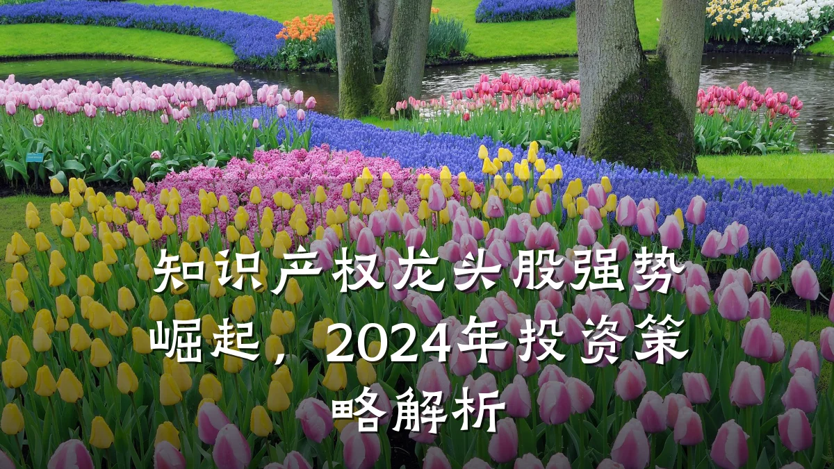 知识产权龙头股强势崛起，2024年投资策略解析