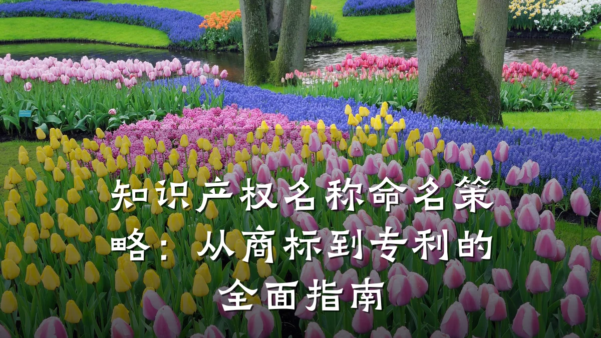 知识产权名称命名策略：从商标到专利的全面指南