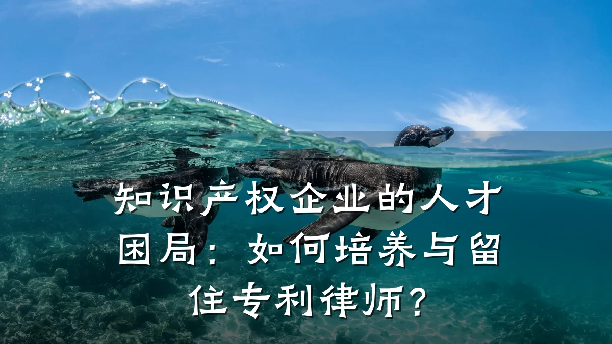 知识产权企业的人才困局：如何培养与留住专利律师？
