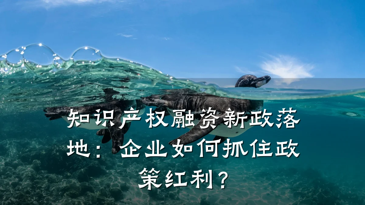 知识产权融资新政落地:企业如何抓住政策红利?