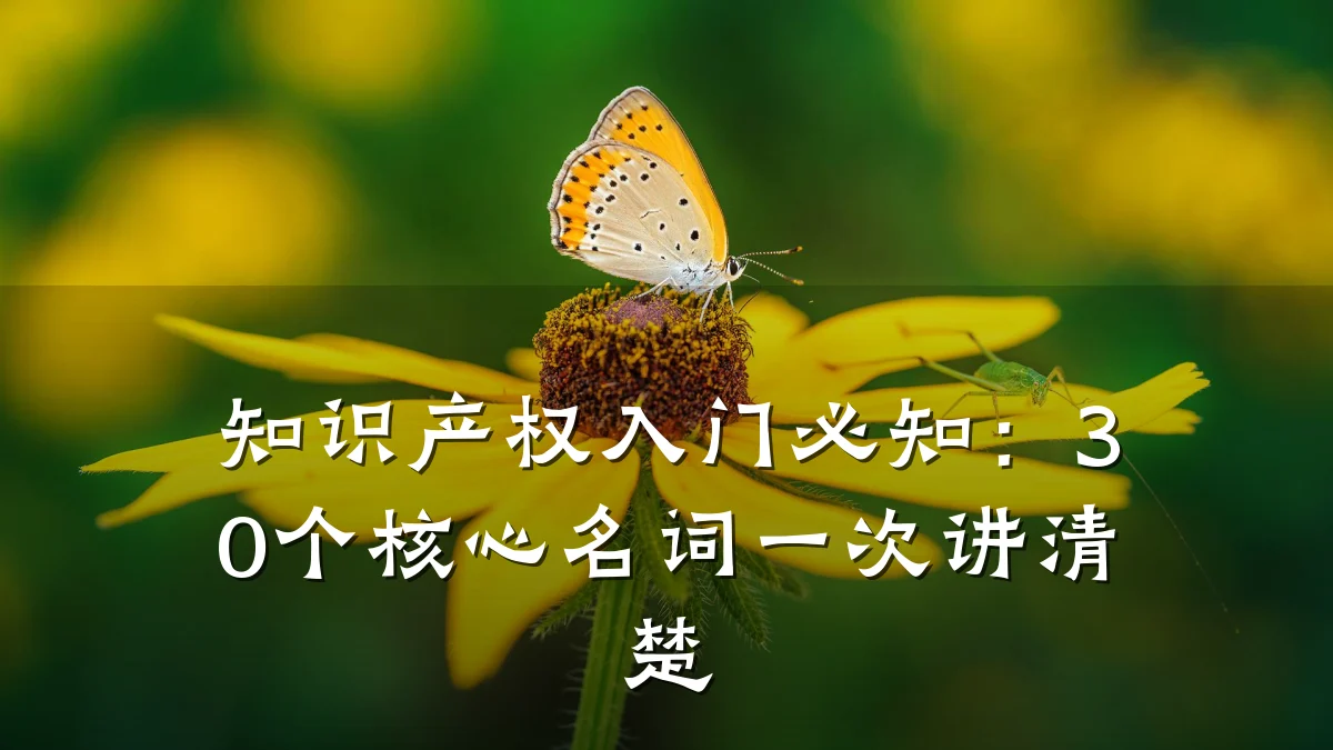 知识产权入门必知：30个核心名词一次讲清楚