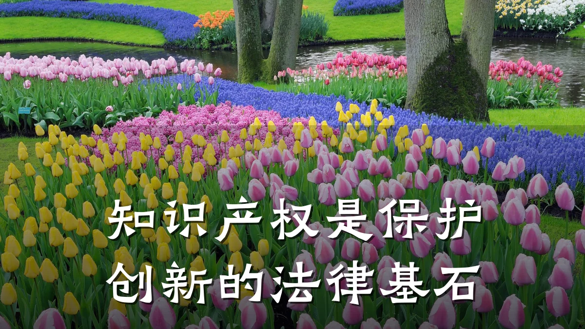 知识产权是保护创新的法律基石