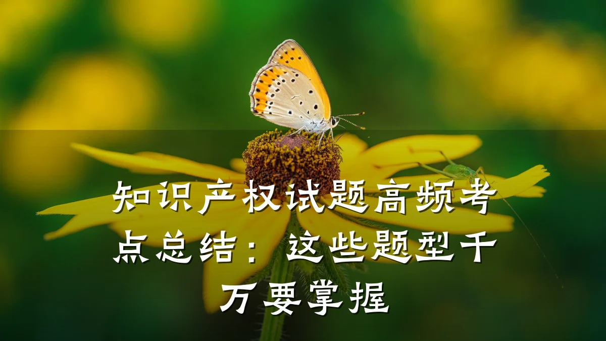知识产权试题高频考点总结：这些题型千万要掌握