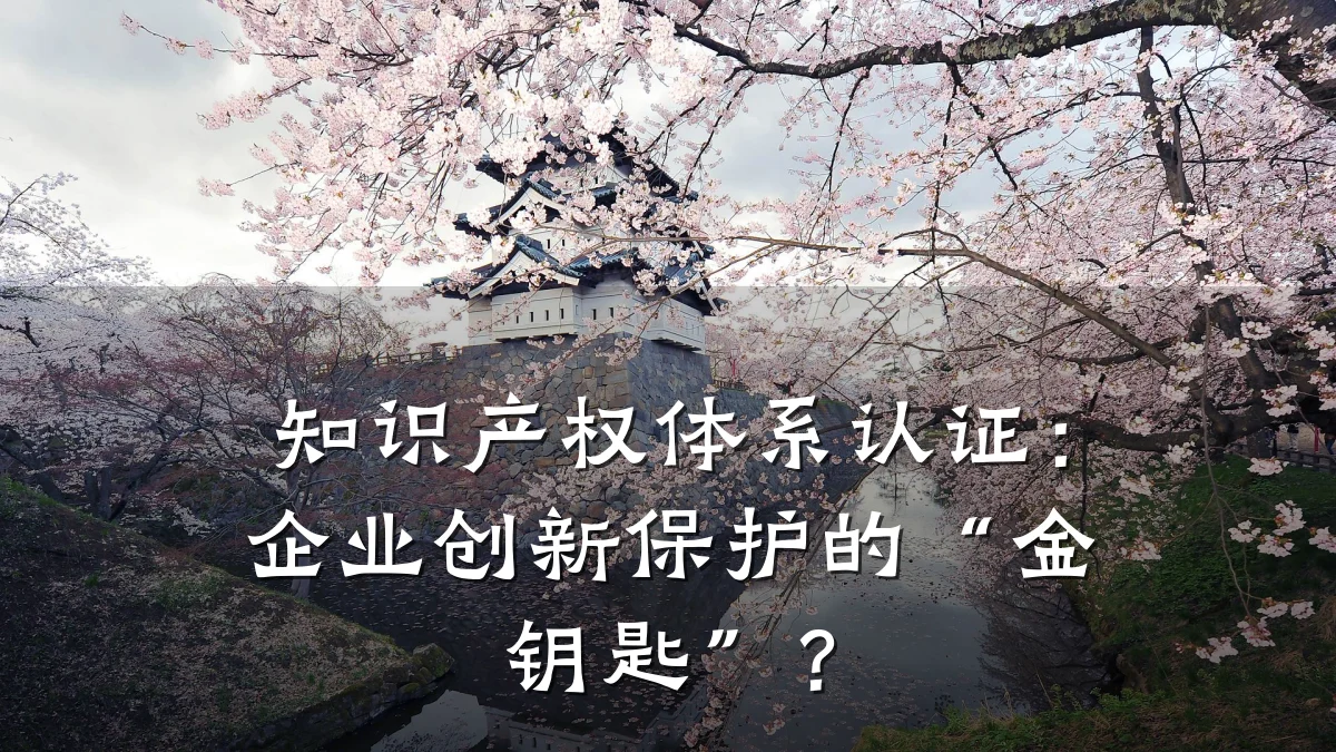 知识产权体系认证：企业创新保护的“金钥匙”？