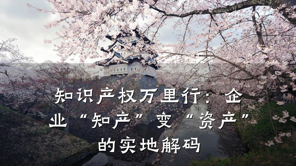 知识产权万里行：企业“知产”变“资产”的实地解码