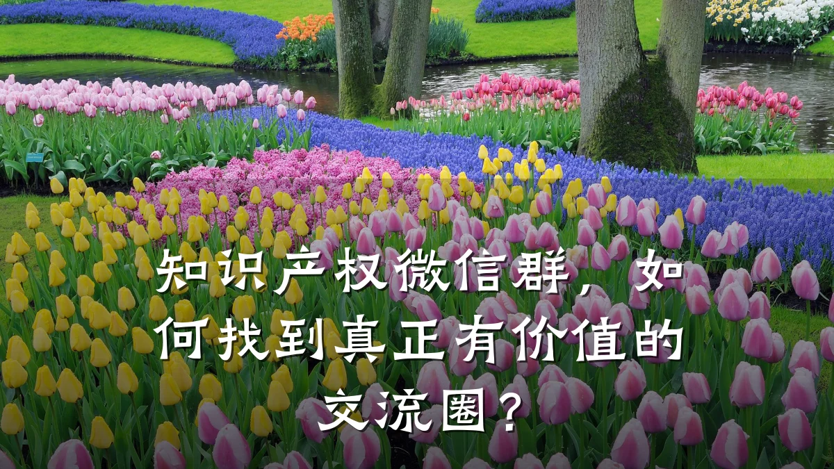 知识产权微信群，如何找到真正有价值的交流圈？