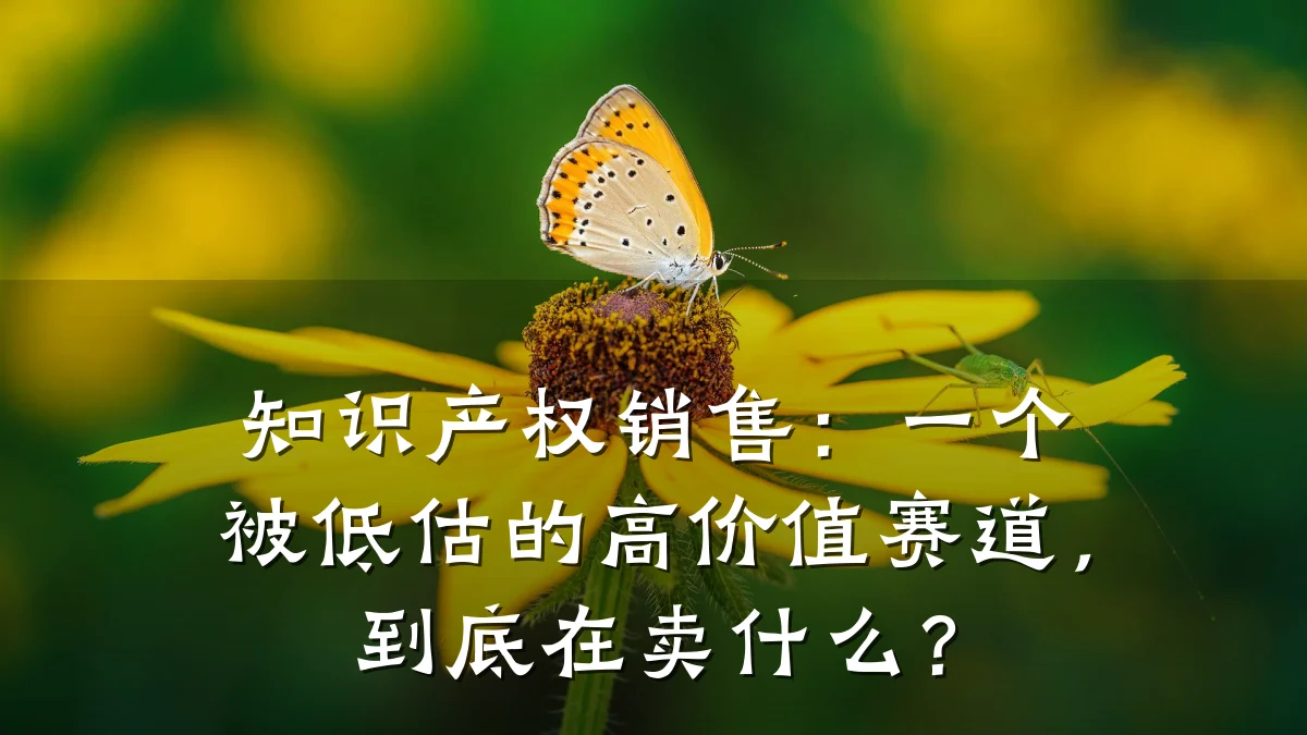 知识产权销售：一个被低估的高价值赛道，到底在卖什么？