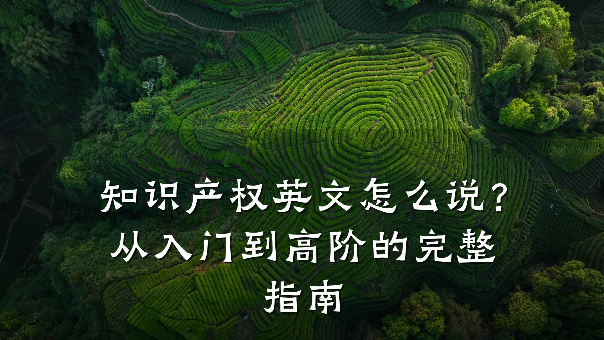 知识产权英文怎么说？从入门到高阶的完整指南
