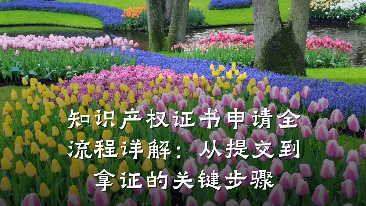 知识产权证书申请全流程详解:从提交到拿证的关键步骤