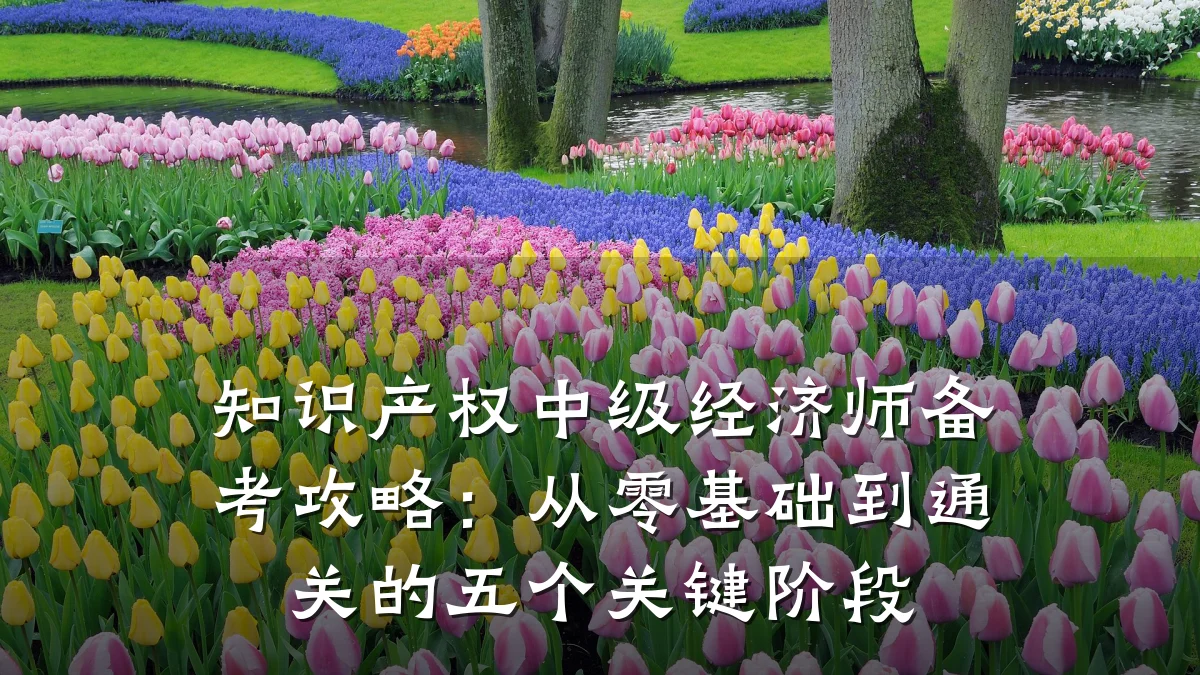 知识产权中级经济师备考攻略：从零基础到通关的五个关键阶段