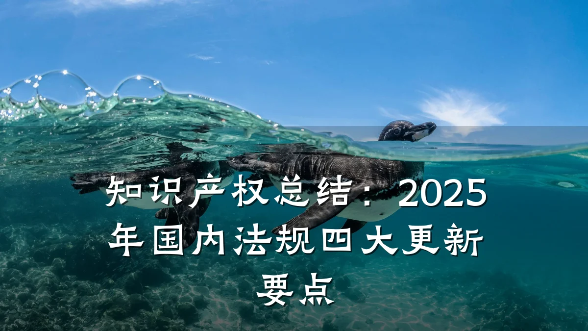 知识产权总结:2025年国内法规四大更新要点