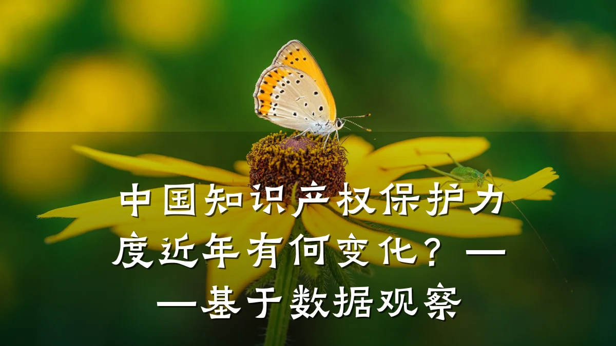 中国知识产权保护力度近年有何变化？——基于数据观察
