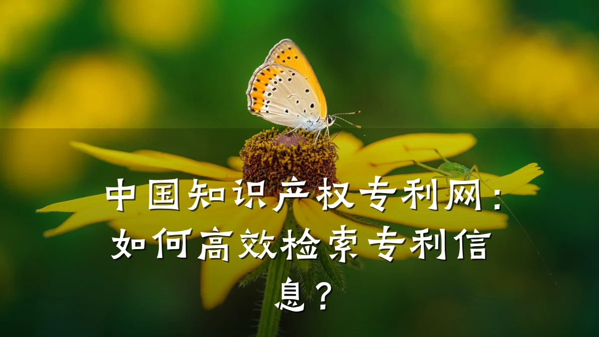 中国知识产权专利网：如何高效检索专利信息？