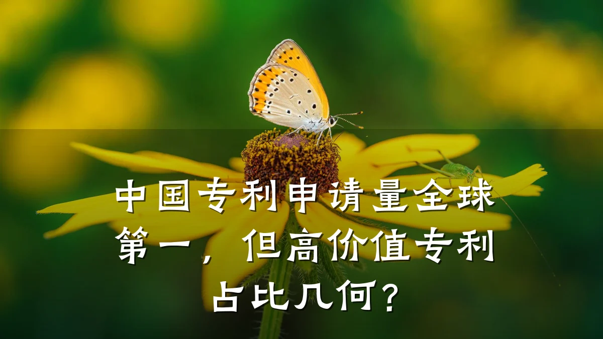 中国专利申请量全球第一，但高价值专利占比几何？