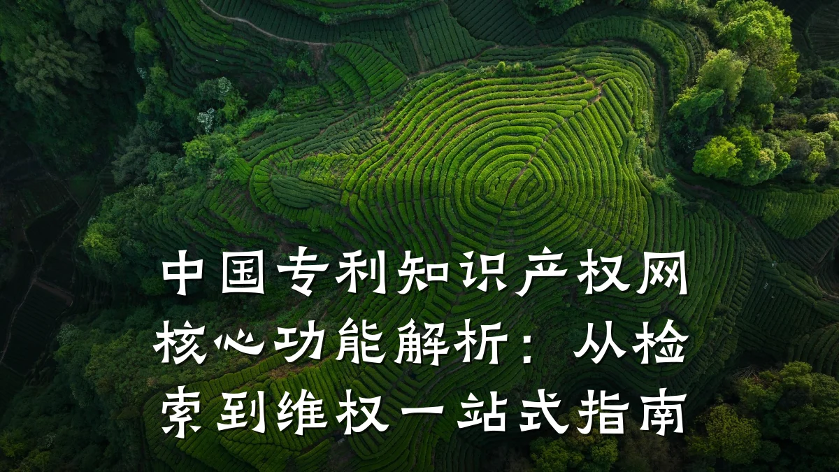 中国专利知识产权网核心功能解析：从检索到维权一站式指南