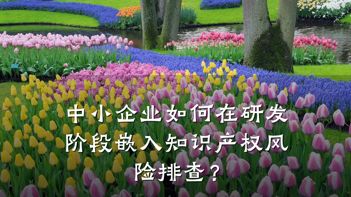 中小企业如何在研发阶段嵌入知识产权风险排查？
