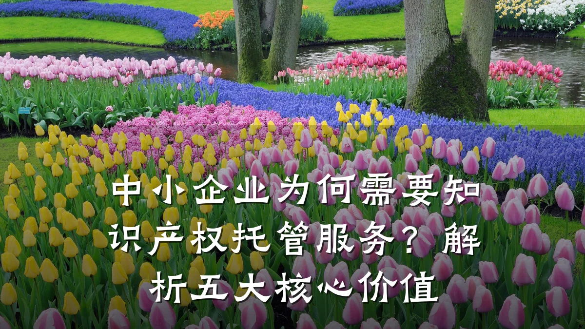 中小企业为何需要知识产权托管服务？解析五大核心价值