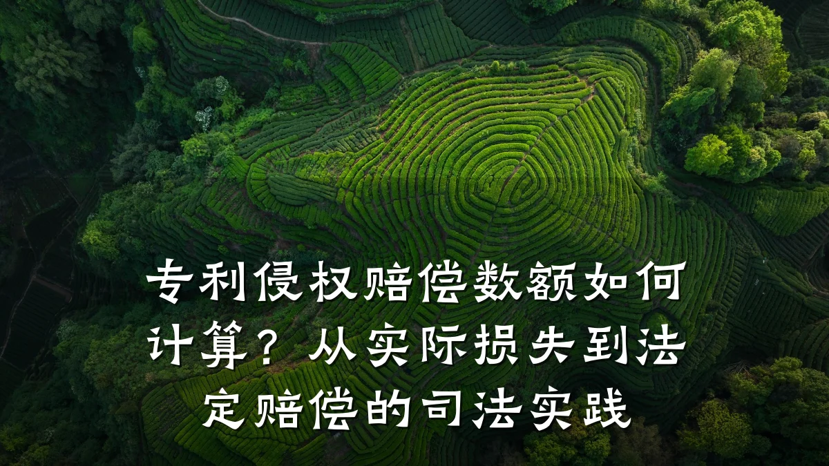 专利侵权赔偿数额如何计算？从实际损失到法定赔偿的司法实践