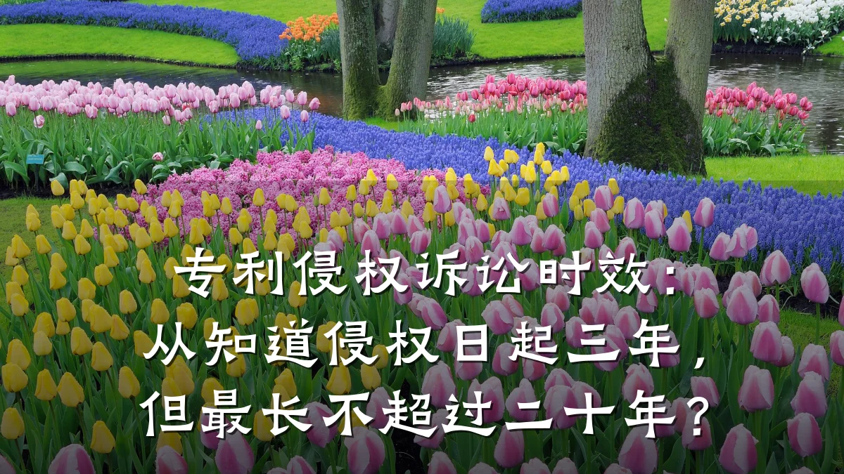 专利侵权诉讼时效：从知道侵权日起三年，但最长不超过二十年？